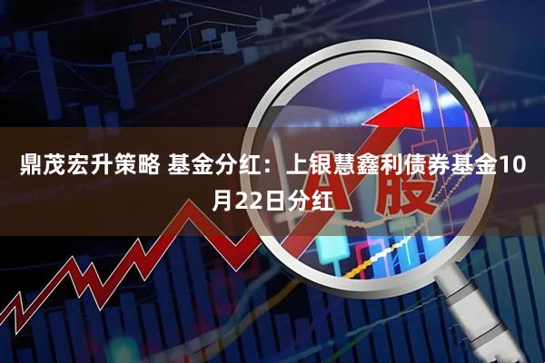 鼎茂宏升策略 基金分红：上银慧鑫利债券基金10月22日分红