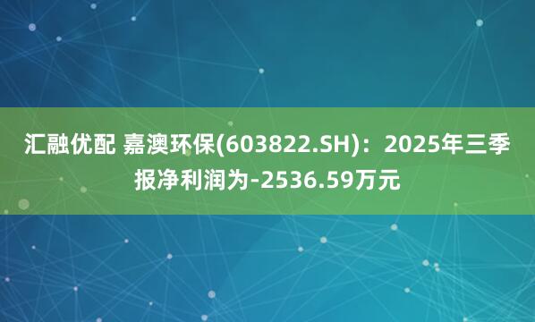 汇融优配 嘉澳环保(603822.SH)：2025年三季报净利润为-2536.59万元